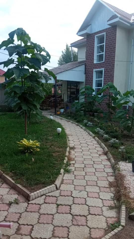 Turan Guesthouse Karakol Exterior photo